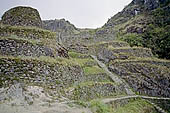 Inca Trail, Phuyupatamarka ruins